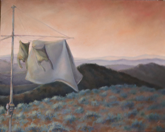 Julie lloyd soft light of place